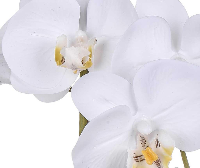 Phalaenopsis White Művirág virágcserépben S