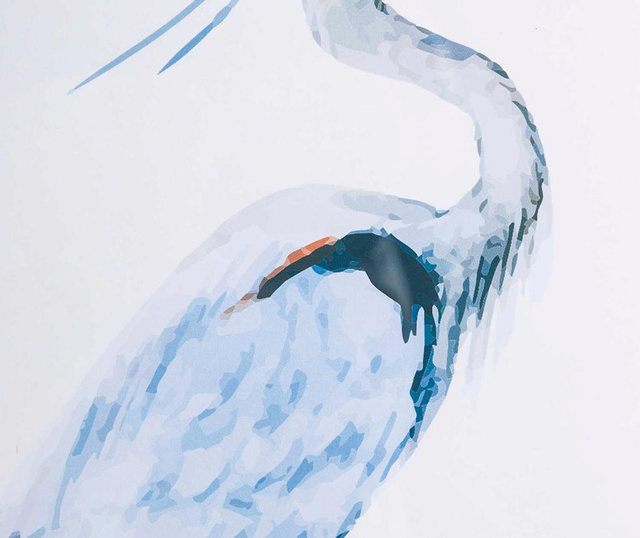 Картина Pelican 50x70 см