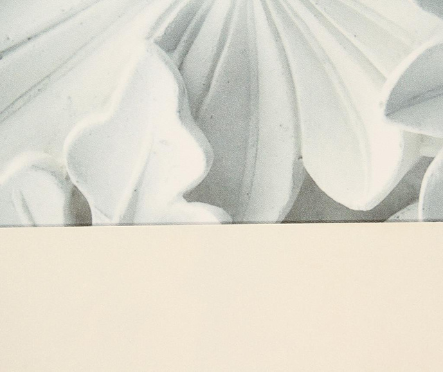 Linoleum Viva, Vinyl Acanthus, 50x180 cm