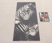 Linolej Vista Zebra 50x180 cm