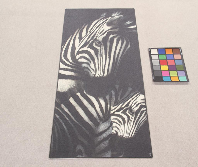 Vista Zebra Linóleum 50x180 cm