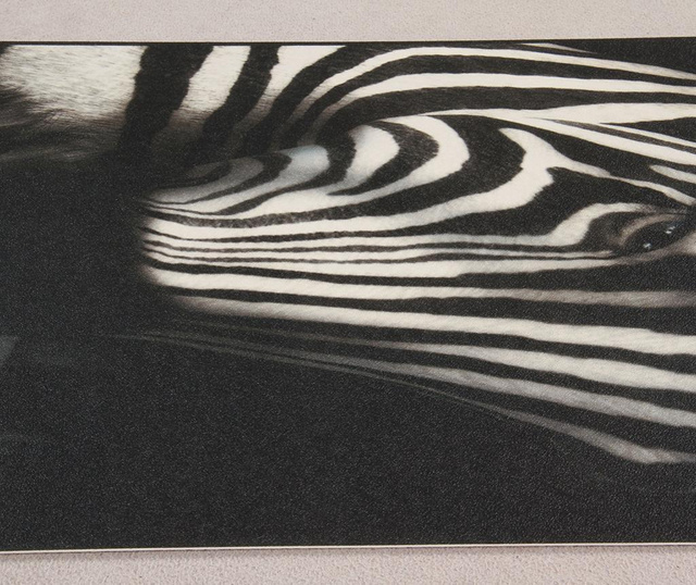 Linoleum Viva, Vista Zebra, 50x180 cm