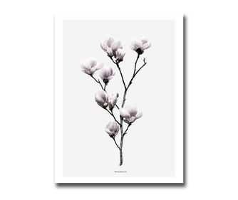 Картина Magnolia 30x40 см