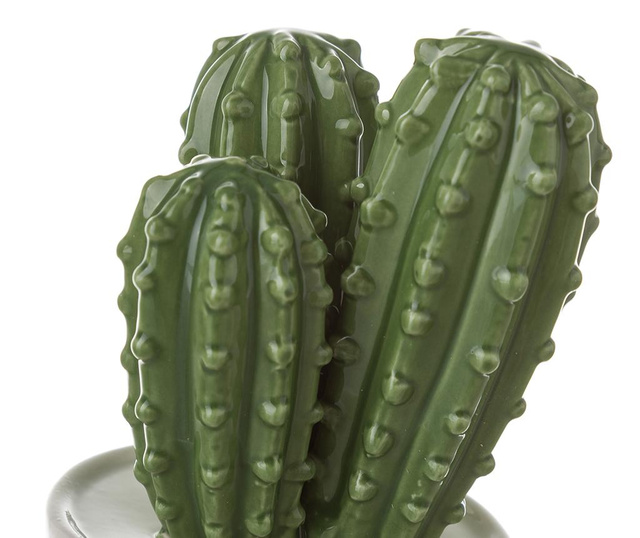 Decoratiune Cactus
