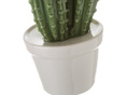 Decoratiune Cactus