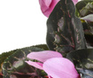 Floare artificiala Ciclamino Lilac
