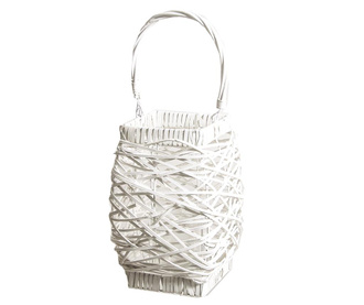 Felinar Knit White Basic