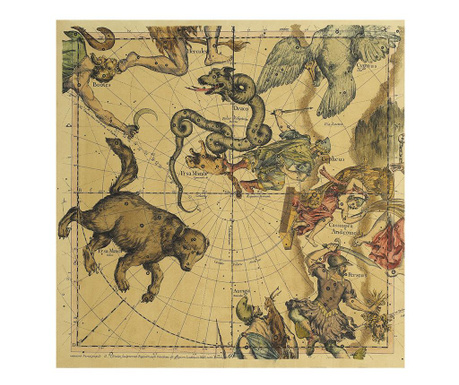 Poster Authentic Models, North Pole Map, rasina epoxidica, 32x34 cm