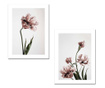 Set 2 slike Flowers 30x40 cm