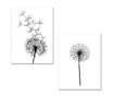 Set 2 tablouri Black Dandelions 30x40 cm