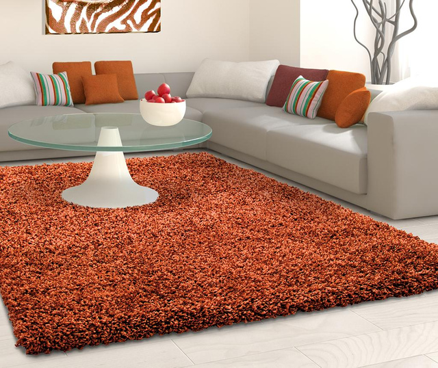 Covor Ayyildiz Carpet, Life Terra, 80x150 cm, rosu caramiziu
