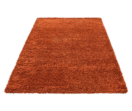 Covor Ayyildiz Carpet, Life Terra, 160x230 cm, rosu caramiziu