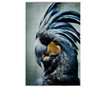 Картина Majestic Parrot 80x120 см