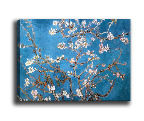 Obraz Almond Blossoms
