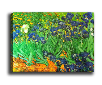 Obraz Irises Garden 40x60 cm