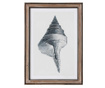 Slika Shell Point 50x70 cm