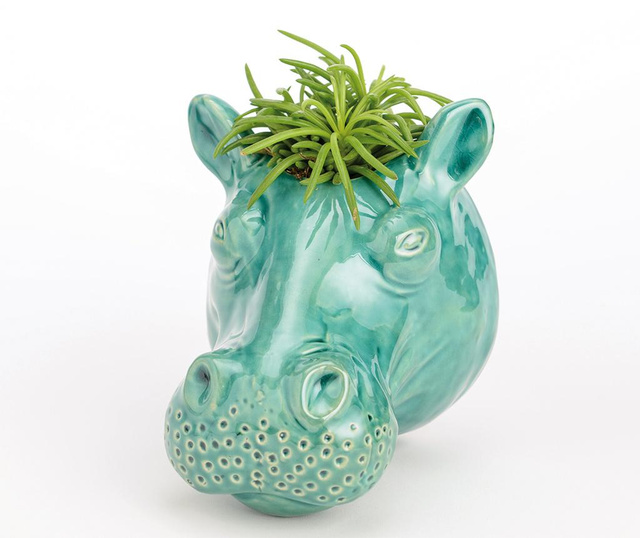 Hippo Face Virágcserép