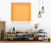 Ara Orange Roletta 120x175 cm