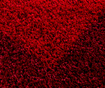 Life Vibe Red Szőnyeg 200x290 cm