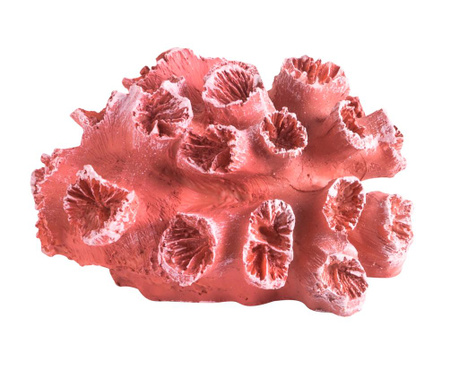 Διακοσμητικό Coral Red