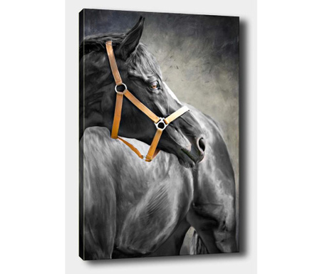 Slika Horse 50x70 cm