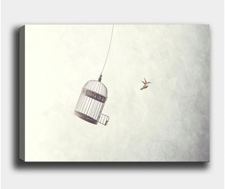 Obraz Cage And Bird