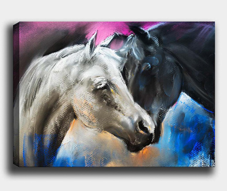 Obraz Horse 50x70 cm