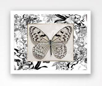 Butterfly Kép 24x29 cm