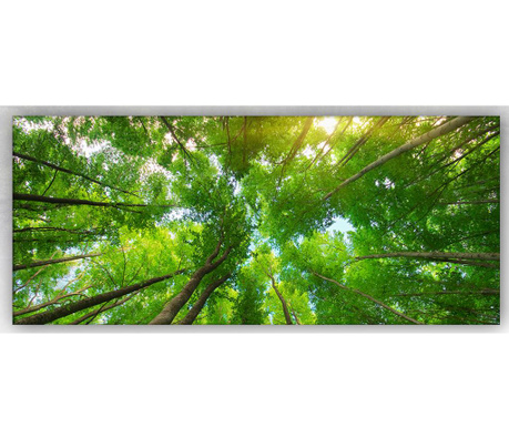 Trees Kép 60x140 cm