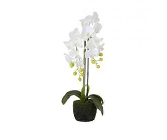 Orchid Művirág cserépben S