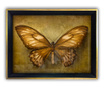 Картина Butterfly 55x75 см