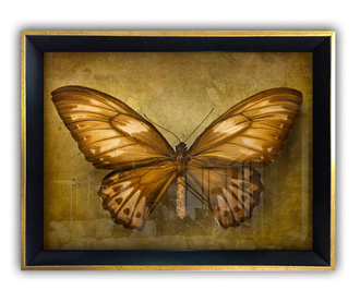 Slika Butterfly 45x65 cm