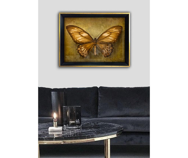Картина Butterfly 55x75 см