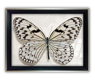 Картина Big Butterfly 45x65 см