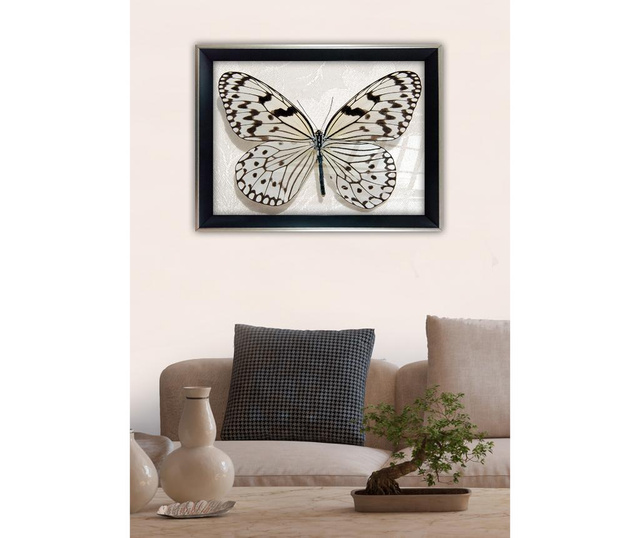 Картина Big Butterfly 45x65 см