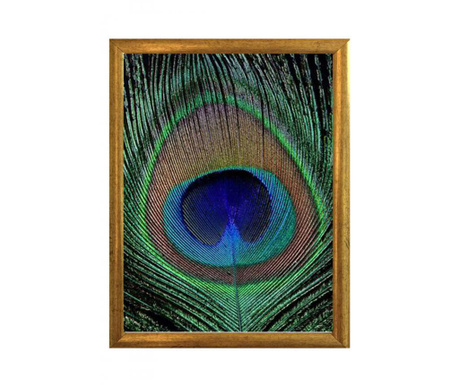 Obraz Peacock 23x33 cm