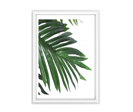 Картина Leaf Palm 23.5x33.5 см