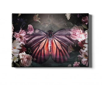 Картина Butterfly 50x70 см