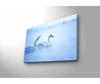 Картина с LED 45x70 см