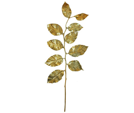 Декоративно растение Poplar