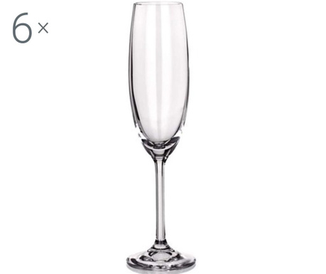 Sada 6 pohárov na šampanské Degustation Crystal Banquet 220 ml
