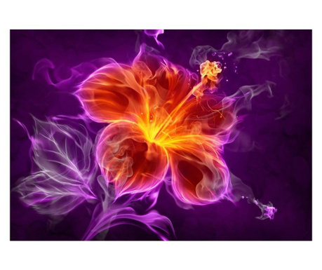 Fototapeta Fiery Flower In Purple