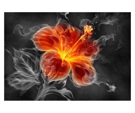 Fototapeta Fiery Flower Inside The Smoke 210x300 cm