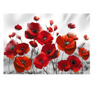 Fototapeta Poppies In The Moonlight 210x300 cm