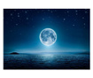 Moonlit Night Fotótapéta 245x350 cm