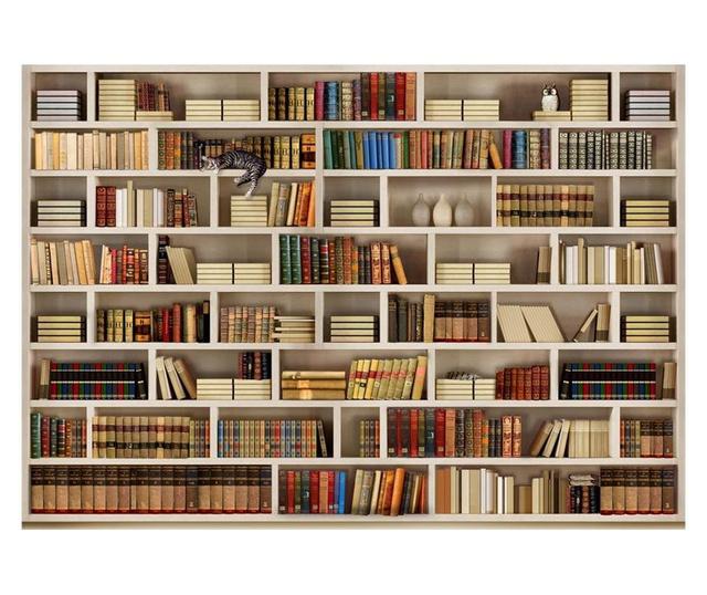 Stenska tapeta Home Library 70x100 cm
