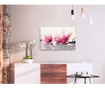 Καμβάς ζωγραφικής ανά αριθμό κιτ Do It Yourself Magnolia (White Background) 40x60 cm
