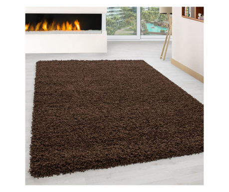Covor Ayyildiz Carpet, Life Brown, 80x250 cm