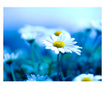 Ταπετσαρία Daisy on a blue meadow 231x300 cm