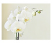 Ταπετσαρία White orchid 231x300 cm